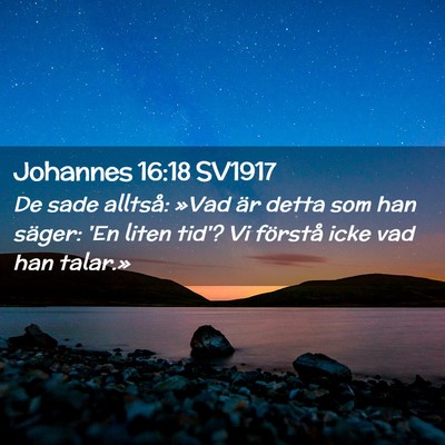 Picture 02 - Johannes 16:18 SV1917 - De sade alltså: »Vad är detta som han säger: - Bible Verse Picture