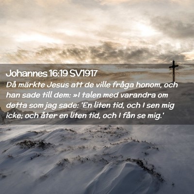 Picture 02 - Johannes 16:19 SV1917 - Då märkte Jesus att de ville fråga honom, och - Bible Verse Picture