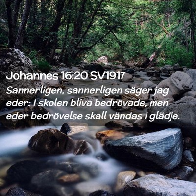 Picture 02 - Johannes 16:20 SV1917 - Sannerligen, sannerligen säger jag eder: I - Bible Verse Picture