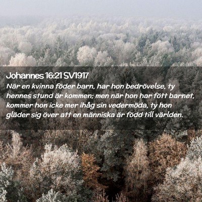 Picture 02 - Johannes 16:21 SV1917 - När en kvinna föder barn, har hon bedrövelse, - Bible Verse Picture