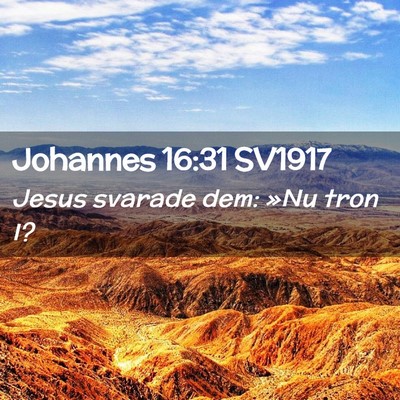 Picture 02 - Johannes 16:31 SV1917 - Jesus svarade dem: »Nu tron - Bible Verse Picture