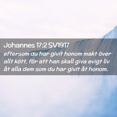 Picture 02 - Johannes 17:2 SV1917 - eftersom du har givit honom makt över allt - Bible Verse Picture
