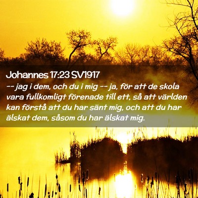 Picture 02 - Johannes 17:23 SV1917 - -- jag i dem, och du i mig -- ja, för att de - Bible Verse Picture