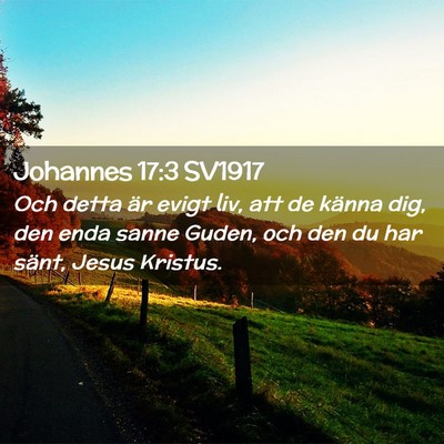 Picture 02 - Johannes 17:3 SV1917 - Och detta är evigt liv, att de känna dig, den - Bible Verse Picture