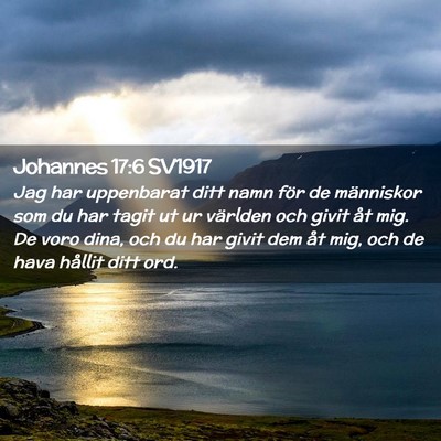 Picture 02 - Johannes 17:6 SV1917 - Jag har uppenbarat ditt namn för de människor - Bible Verse Picture
