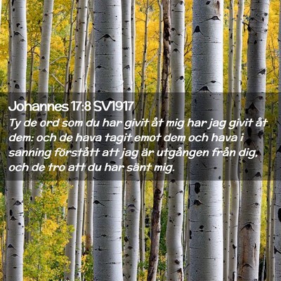 Picture 02 - Johannes 17:8 SV1917 - Ty de ord som du har givit åt mig har jag givit - Bible Verse Picture