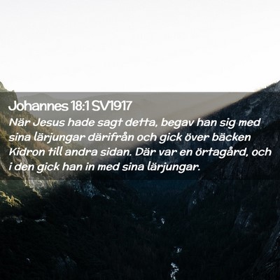 Picture 02 - Johannes 18:1 SV1917 - När Jesus hade sagt detta, begav han sig med - Bible Verse Picture