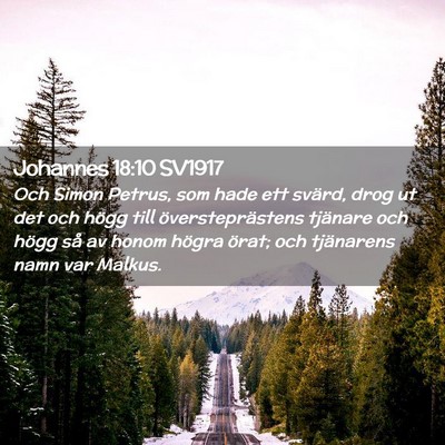 Picture 02 - Johannes 18:10 SV1917 - Och Simon Petrus, som hade ett svärd, drog ut - Bible Verse Picture
