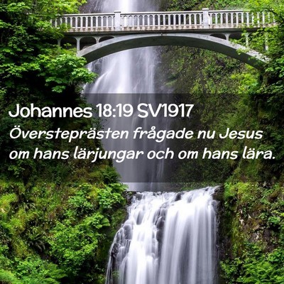 Picture 02 - Johannes 18:19 SV1917 - Översteprästen frågade nu Jesus om hans - Bible Verse Picture