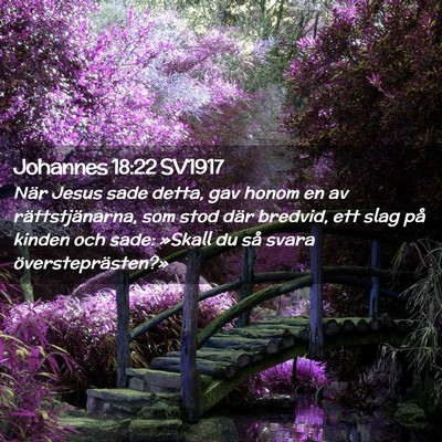 Picture 02 - Johannes 18:22 SV1917 - När Jesus sade detta, gav honom en av - Bible Verse Picture