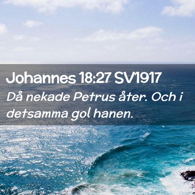 Picture 02 - Johannes 18:27 SV1917 - Då nekade Petrus åter. Och i detsamma gol - Bible Verse Picture
