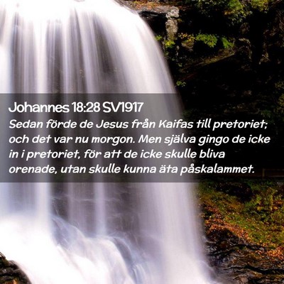 Picture 02 - Johannes 18:28 SV1917 - Sedan förde de Jesus från Kaifas till - Bible Verse Picture