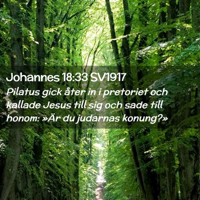 Picture 02 - Johannes 18:33 SV1917 - Pilatus gick åter in i pretoriet och kallade - Bible Verse Picture