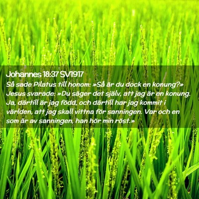 Picture 02 - Johannes 18:37 SV1917 - Så sade Pilatus till honom: »Så är du dock en - Bible Verse Picture