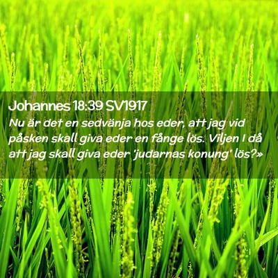 Picture 02 - Johannes 18:39 SV1917 - Nu är det en sedvänja hos eder, att jag vid - Bible Verse Picture