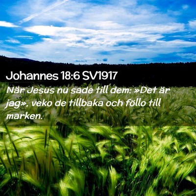Picture 02 - Johannes 18:6 SV1917 - När Jesus nu sade till dem: »Det är jag», - Bible Verse Picture