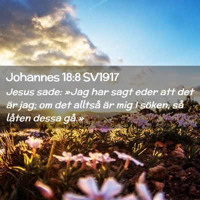 Picture 02 - Johannes 18:8 SV1917 - Jesus sade: »Jag har sagt eder att det är jag; - Bible Verse Picture