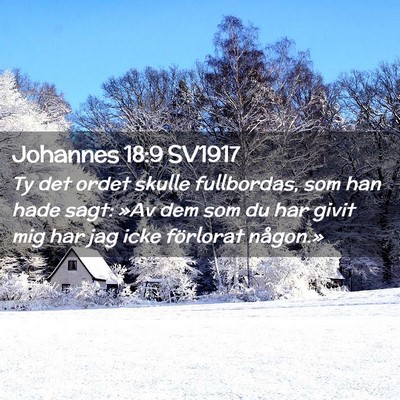 Picture 02 - Johannes 18:9 SV1917 - Ty det ordet skulle fullbordas, som han hade - Bible Verse Picture