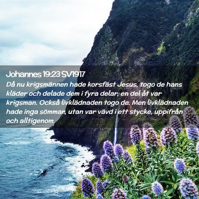 Picture 02 - Johannes 19:23 SV1917 - Då nu krigsmännen hade korsfäst Jesus, togo de - Bible Verse Picture
