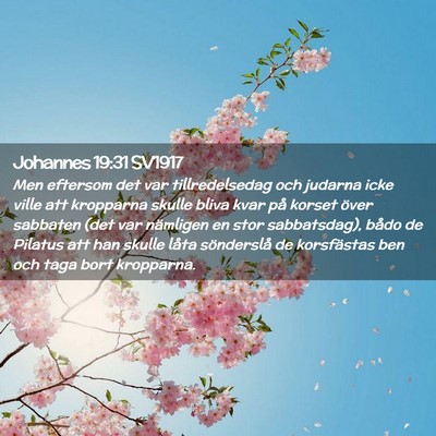 Picture 02 - Johannes 19:31 SV1917 - Men eftersom det var tillredelsedag och judarna - Bible Verse Picture