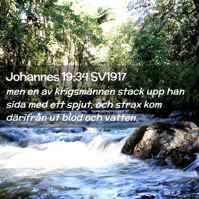 Picture 02 - Johannes 19:34 SV1917 - men en av krigsmännen stack upp han sida med ett - Bible Verse Picture