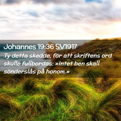 Picture 02 - Johannes 19:36 SV1917 - Ty detta skedde, för att skriftens ord skulle - Bible Verse Picture