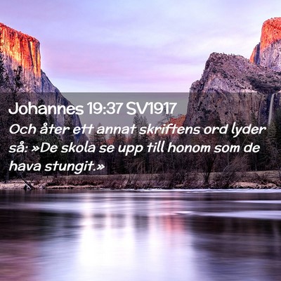 Picture 02 - Johannes 19:37 SV1917 - Och åter ett annat skriftens ord lyder så: »De - Bible Verse Picture