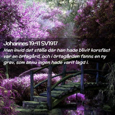 Picture 02 - Johannes 19:41 SV1917 - Men invid det ställe där han hade blivit - Bible Verse Picture