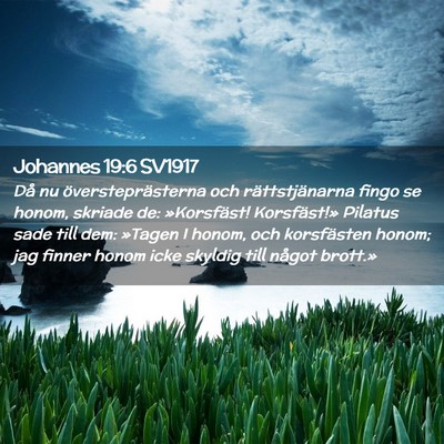 Picture 02 - Johannes 19:6 SV1917 - Då nu översteprästerna och rättstjänarna - Bible Verse Picture
