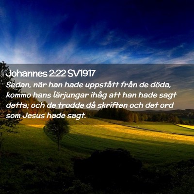 Picture 02 - Johannes 2:22 SV1917 - Sedan, när han hade uppstått från de döda, - Bible Verse Picture