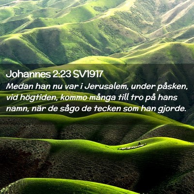 Picture 02 - Johannes 2:23 SV1917 - Medan han nu var i Jerusalem, under påsken, vid - Bible Verse Picture