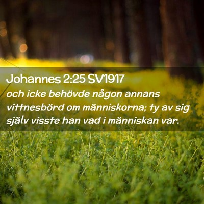 Picture 02 - Johannes 2:25 SV1917 - och icke behövde någon annans vittnesbörd om - Bible Verse Picture