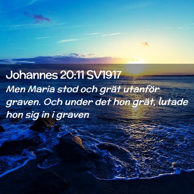 Picture 02 - Johannes 20:11 SV1917 - Men Maria stod och grät utanför graven. Och - Bible Verse Picture