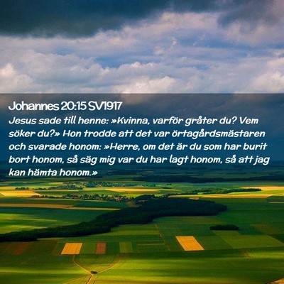 Picture 02 - Johannes 20:15 SV1917 - Jesus sade till henne: »Kvinna, varför gråter - Bible Verse Picture