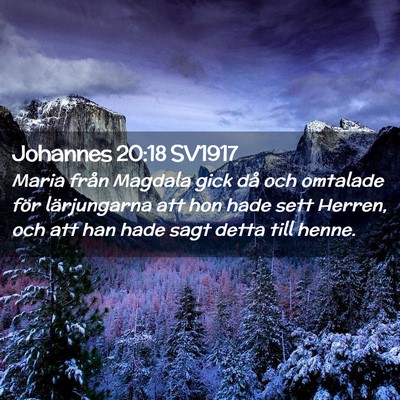 Picture 02 - Johannes 20:18 SV1917 - Maria från Magdala gick då och omtalade för - Bible Verse Picture