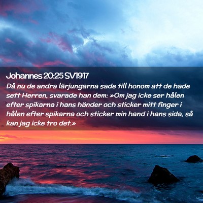 Picture 02 - Johannes 20:25 SV1917 - Då nu de andra lärjungarna sade till honom att - Bible Verse Picture