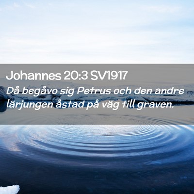 Picture 02 - Johannes 20:3 SV1917 - Då begåvo sig Petrus och den andre lärjungen - Bible Verse Picture