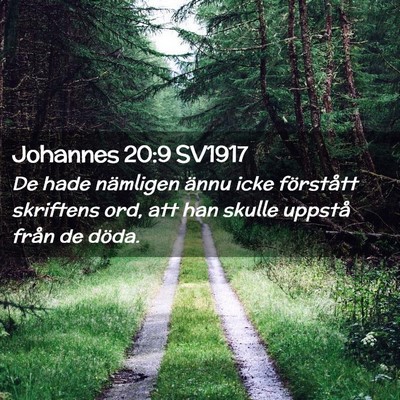 Picture 02 - Johannes 20:9 SV1917 - De hade nämligen ännu icke förstått skriftens - Bible Verse Picture