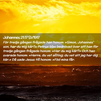 Picture 02 - Johannes 21:17 SV1917 - För tredje gången frågade han honom: »Simon, - Bible Verse Picture