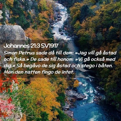 Picture 02 - Johannes 21:3 SV1917 - Simon Petrus sade då till dem: »Jag vill gå - Bible Verse Picture