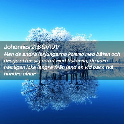 Picture 02 - Johannes 21:8 SV1917 - Men de andra lärjungarna kommo med båten och - Bible Verse Picture