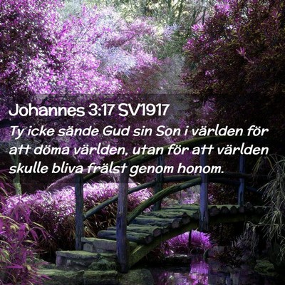 Picture 02 - Johannes 3:17 SV1917 - Ty icke sände Gud sin Son i världen för att - Bible Verse Picture