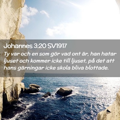 Picture 02 - Johannes 3:20 SV1917 - Ty var och en som gör vad ont är, han hatar - Bible Verse Picture
