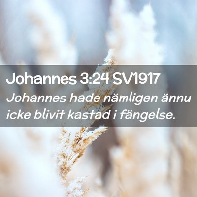 Picture 02 - Johannes 3:24 SV1917 - Johannes hade nämligen ännu icke blivit kastad - Bible Verse Picture