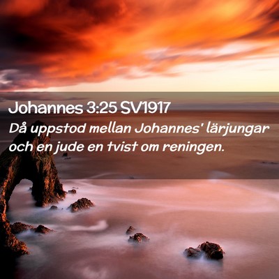 Picture 02 - Johannes 3:25 SV1917 - Då uppstod mellan Johannes' lärjungar och en - Bible Verse Picture