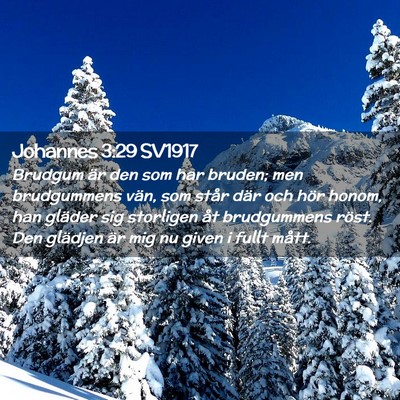 Picture 02 - Johannes 3:29 SV1917 - Brudgum är den som har bruden; men brudgummens - Bible Verse Picture