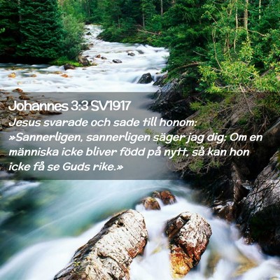 Picture 02 - Johannes 3:3 SV1917 - Jesus svarade och sade till honom: »Sannerligen, - Bible Verse Picture