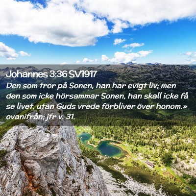 Picture 02 - Johannes 3:36 SV1917 - Den som tror på Sonen, han har evigt liv; men - Bible Verse Picture