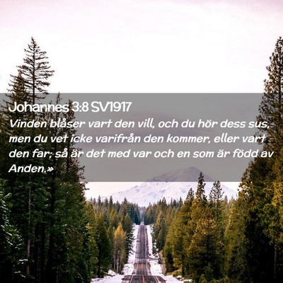 Picture 02 - Johannes 3:8 SV1917 - Vinden blåser vart den vill, och du hör dess - Bible Verse Picture