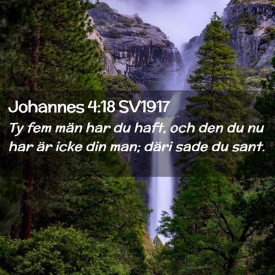 Picture 02 - Johannes 4:18 SV1917 - Ty fem män har du haft, och den du nu har är - Bible Verse Picture
